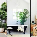 salle de bains plantes