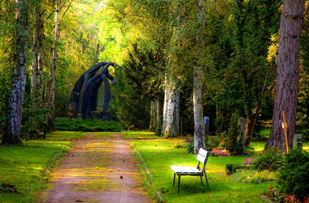 Photographie de jardin aménagé avec banc