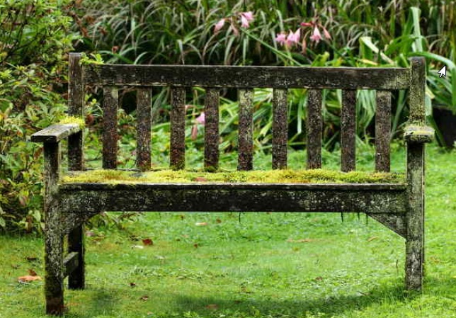 Banc avec de la mousse