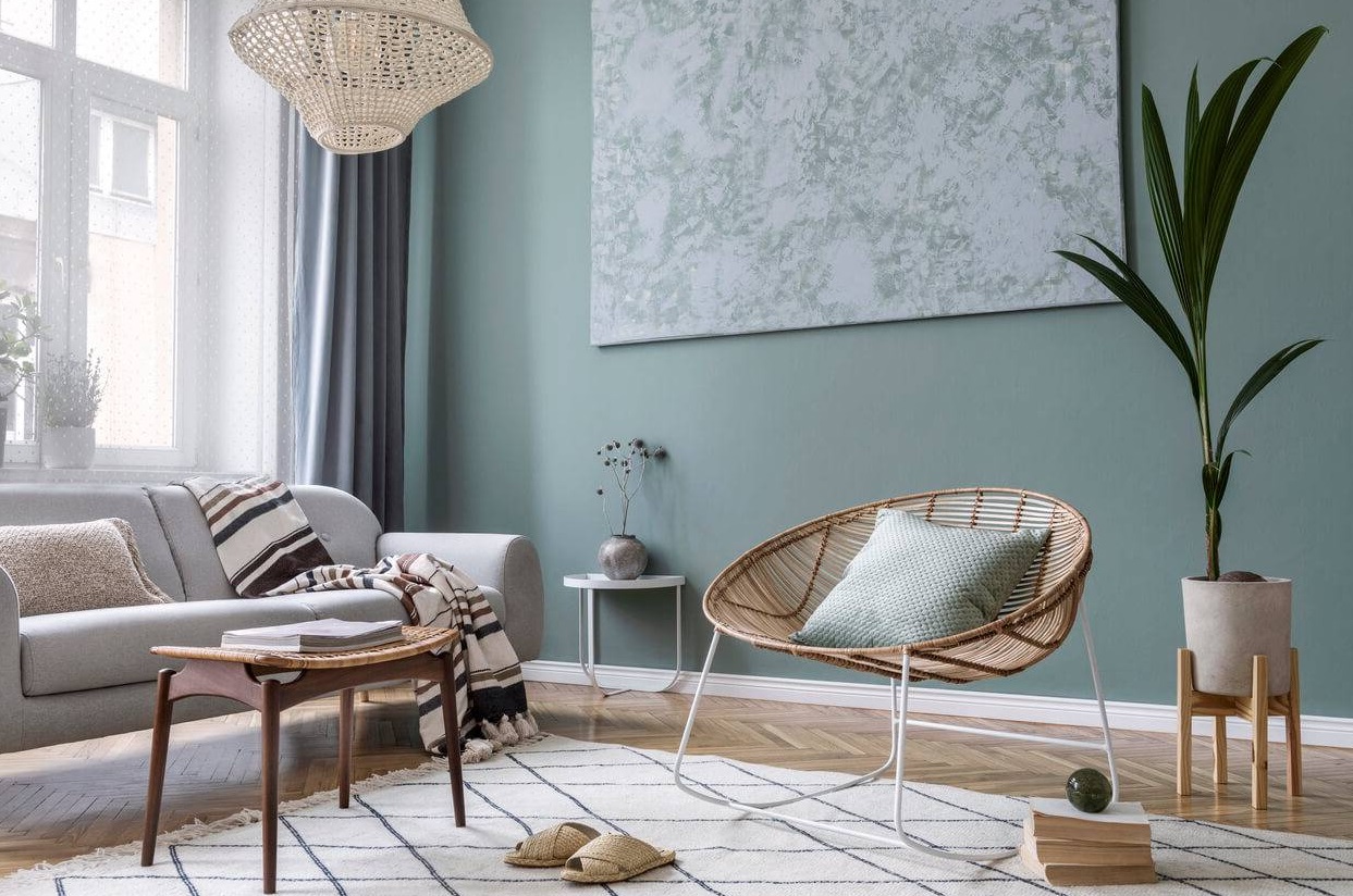 salon meuble décoration