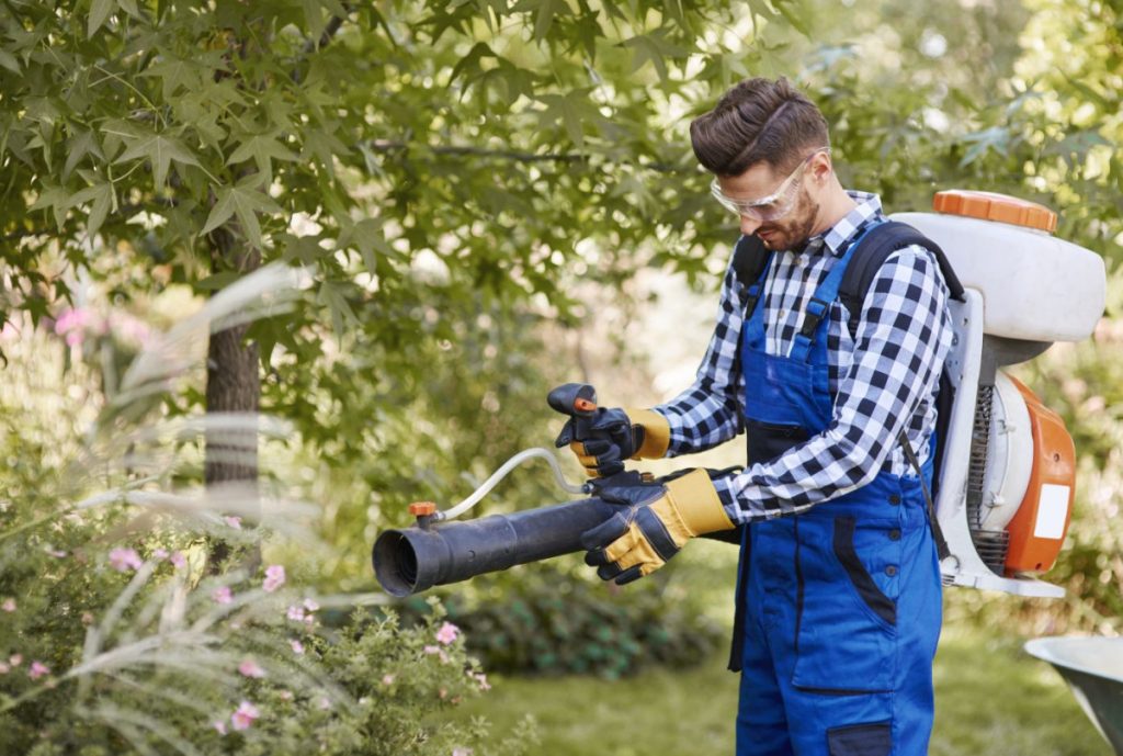 Homme utilisant un souffleur aspirateur dans son jardin