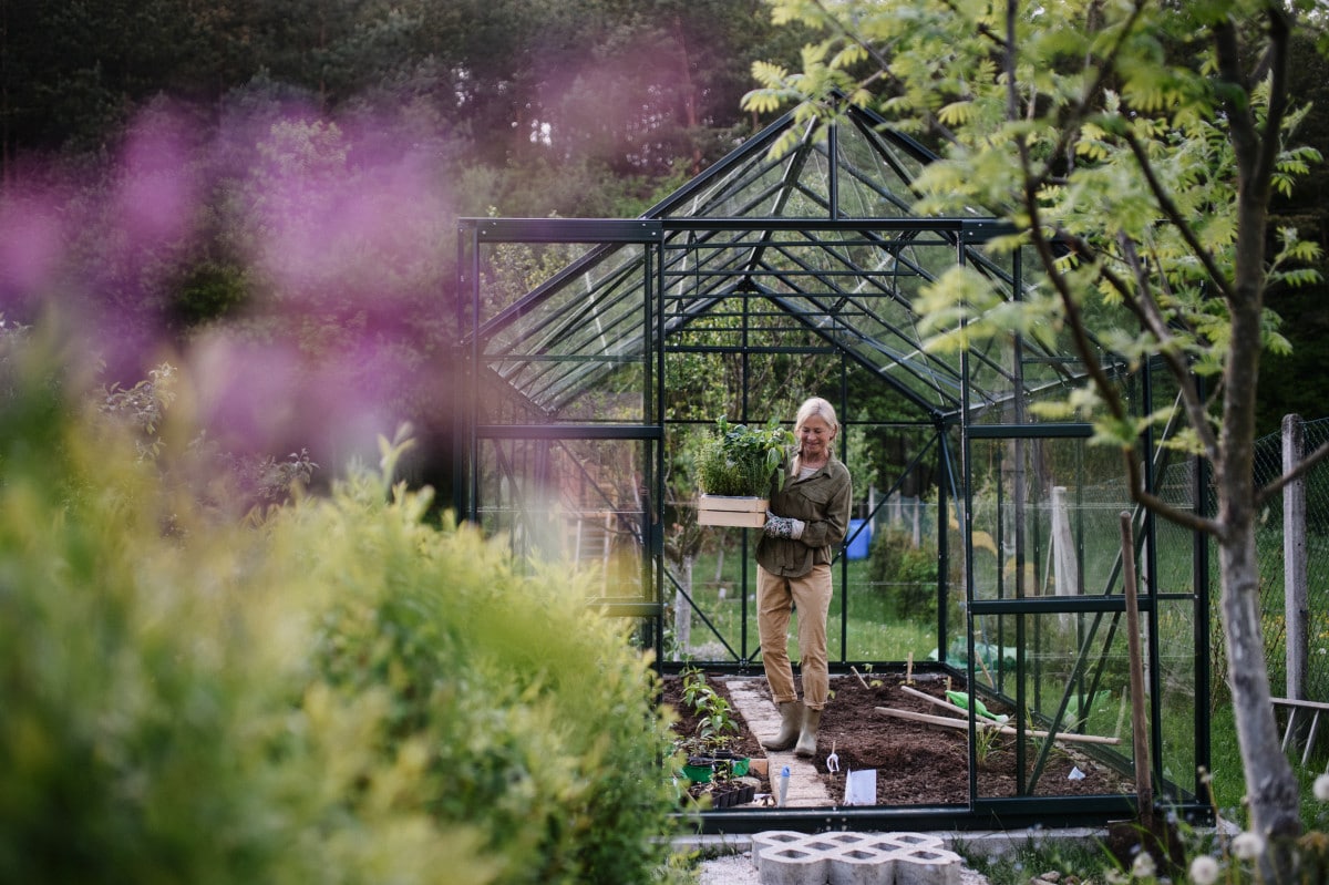 Femme qui jardine sous une serre
