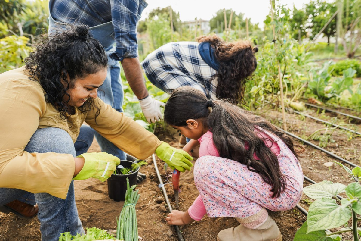 Famille potager que planter en septembre
