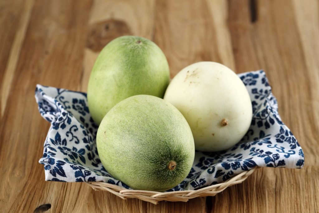 Concombre lemon légumes insolites potager