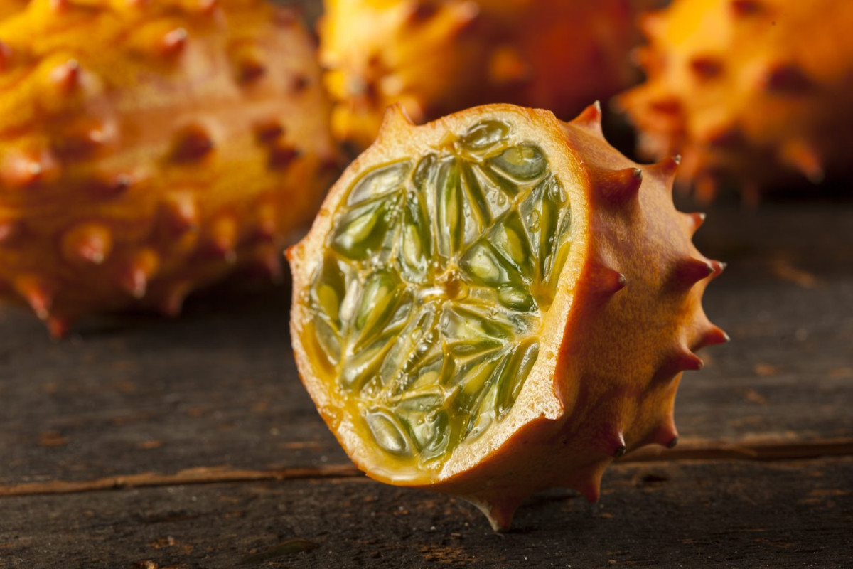 Melon kiwano fruits insolites