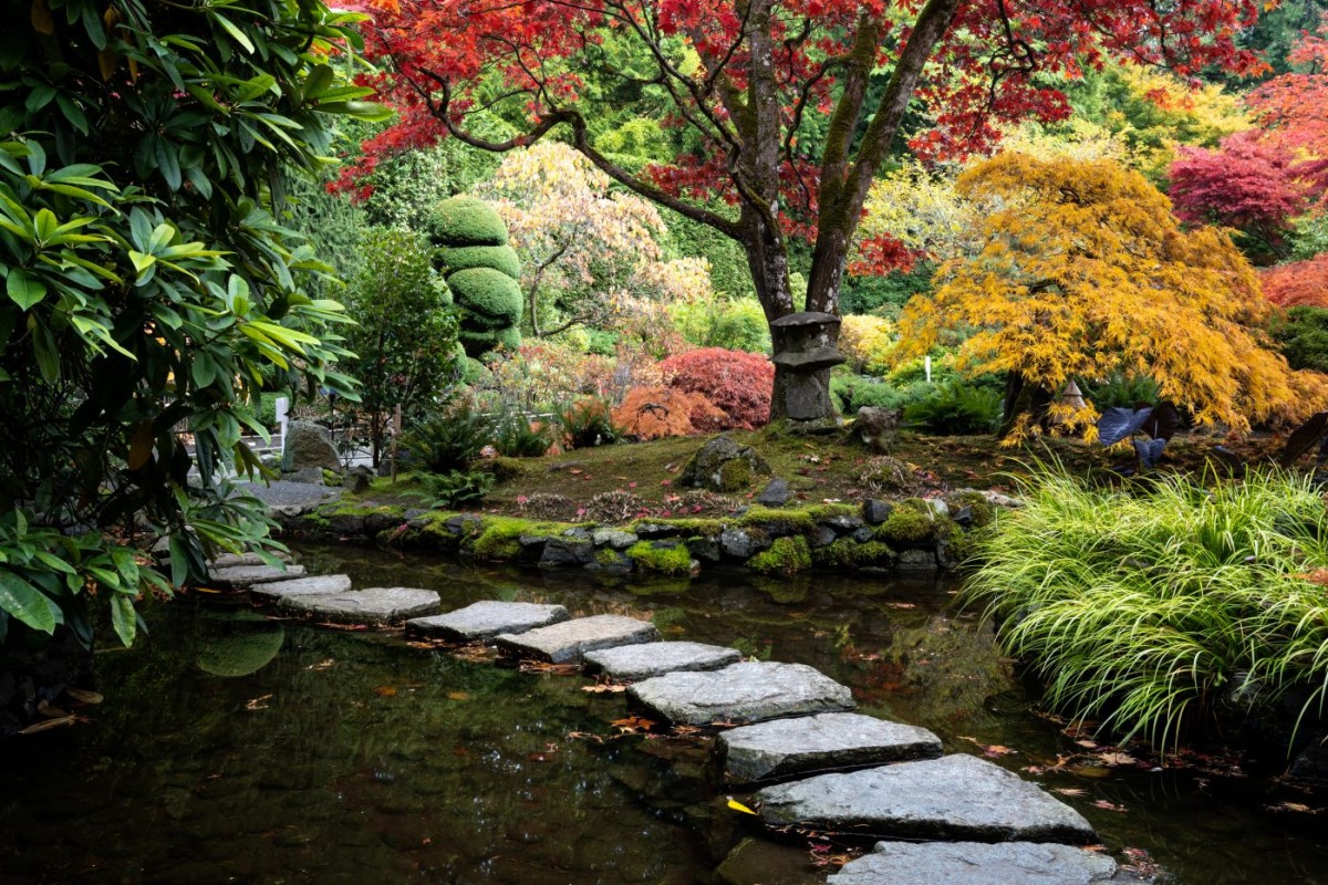 jardin japonais