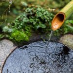 water-bamboo-in-japanese-temple-2023-11-27-05-31-42-utc
