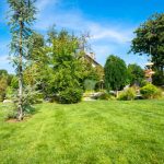 garden-2023-11-27-05-17-08-utc