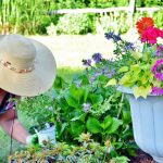 women-in-her-backyard-garden-planting-annuals-2023-11-27-05-04-47-utc