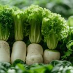 Dénichez les perles rares : les légumes en D à cultiver dans votre potager