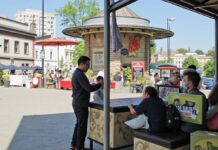 Bignone inconvénients : les limites à connaître avant plantation découvrez les inconvénients de la bignone et les limites essentielles à connaître avant de la planter pour réussir votre jardin en toute sérénité.