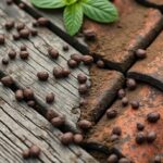 découvrez comment reconnaître, prévenir et éliminer efficacement les crottes de fouine pour protéger votre maison et votre environnement.