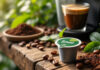 Dosette senseo compostable : guide complet et conseils écologiques découvrez notre guide complet sur les dosettes senseo compostables, avec des conseils pratiques pour adopter une consommation plus écologique et respectueuse de l'environnement.